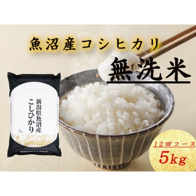 【毎月定期便】無洗米 魚沼産コシヒカリ(精米)5kg×1袋全12回
