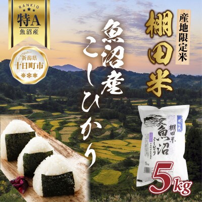 棚田米 魚沼産 コシヒカリ 5kg 新潟県 十日町市 松代地区限定米