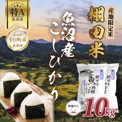 【無地熨斗】 棚田米 魚沼産 コシヒカリ 10kg 新潟 十日町市 松代地区限定米