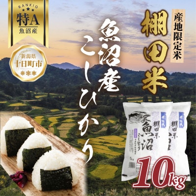 棚田米 魚沼産 コシヒカリ 10kg 新潟 十日町市 松代地区限定米