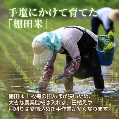 棚田米 魚沼産 コシヒカリ 10kg 新潟 十日町市 松代地区限定米