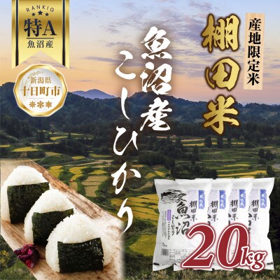 棚田米 魚沼産 コシヒカリ 20kg 新潟 十日町市 松代地区限定米