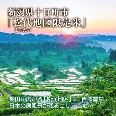 棚田米 魚沼産 コシヒカリ 20kg 新潟 十日町市 松代地区限定米
