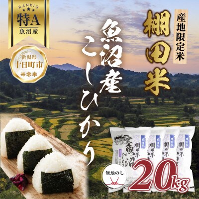 【無地熨斗】 棚田米 魚沼産 コシヒカリ 20kg 新潟 十日町市 松代地区限定米
