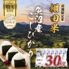 【無地熨斗】 棚田米 魚沼産 コシヒカリ 30kg 新潟 十日町市 松代地区限定米