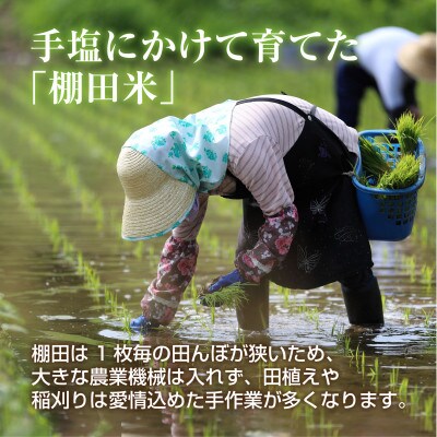 【無地熨斗】 棚田米 魚沼産 コシヒカリ 30kg 新潟 十日町市 松代地区限定米