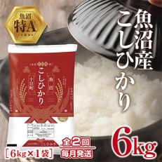 【毎月定期便】新潟県 魚沼産 こしひかり 6kg 精米 (お米の美味しい炊き方ガイド付き)全2回