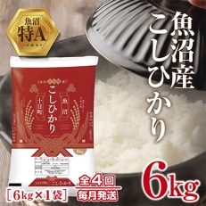 【毎月定期便】新潟県 魚沼産 こしひかり 6kg 精米 (お米の美味しい炊き方ガイド付き)全4回