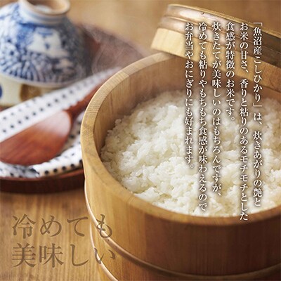 【毎月定期便】新潟県 魚沼産 こしひかり 12kg 精米 (お米の美味しい炊き方ガイド付き)全4回