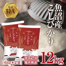 【毎月定期便】新潟県 魚沼産 こしひかり12kg精米 (お米の美味しい炊き方ガイド付き)全12回