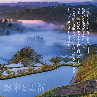 【毎月定期便】新潟県 魚沼産 こしひかり12kg精米 (お米の美味しい炊き方ガイド付き)全12回