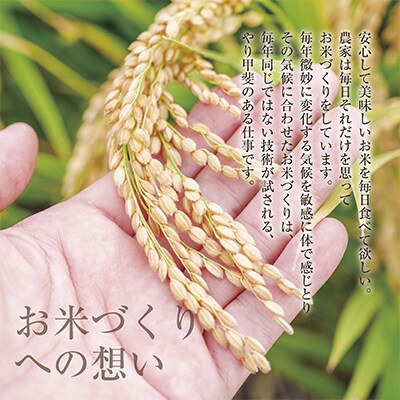 【毎月定期便】新潟県 魚沼産 こしひかり12kg精米 (お米の美味しい炊き方ガイド付き)全12回