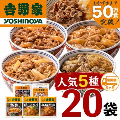 【毎月定期便】吉野家 人気5種20袋 牛丼の具など詰め合わせセット(冷凍)全6回