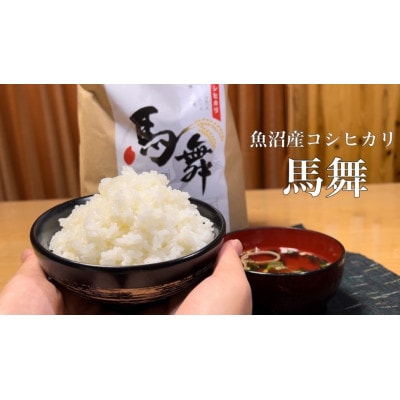 【毎月定期便】魚沼産コシヒカリ[馬舞] 白米 5kg全3回