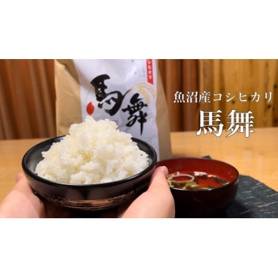 【毎月定期便】魚沼産コシヒカリ[馬舞] 白米 5kg全12回