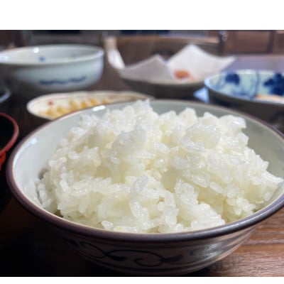 魚沼産こしひかり　3kg 精米 (数量限定)