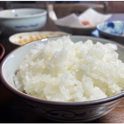 魚沼産こしひかり　5kg 精米 (数量限定)