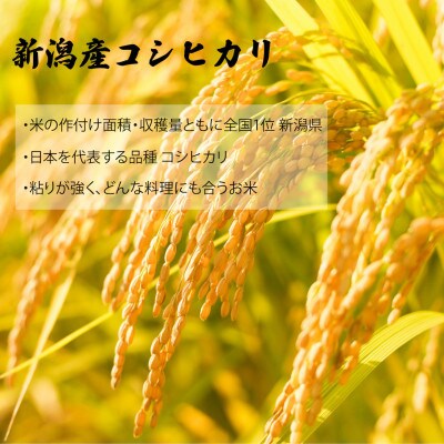 新潟産コシヒカリ ふっくらパックご飯 180g × 36個