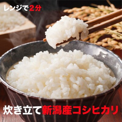 吉野家 とん汁 パックご飯 セット(大) 新潟産コシヒカリ 日本の朝食セット