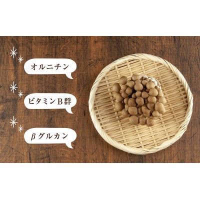 はぴふるの国産乾燥きのこ ぶなしめじ 30g×3袋 新潟県十日町市