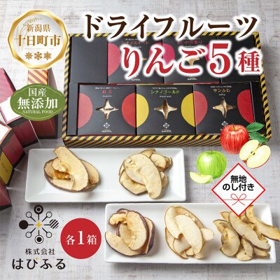 【のし付き】ドライフルーツ りんご 5種 シナノゴールド シナノスイート 他 新潟県十日町市