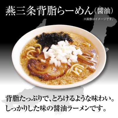 新潟ラーメン食べ比べセット 2種 各4食+替玉4束(1袋に替玉1束入)<燕三条背脂/あごだし塩>