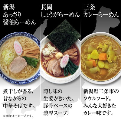 新潟5大ラーメン 食べ比べセット 各2食<醤油/味噌/カレー/背脂/あっさり醤油>+替玉5束