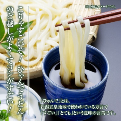 ひゃんでうどん(600g×8袋)約48人前 松代そば善屋 新潟県十日町市