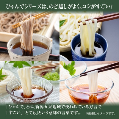 ひゃんで乾麺4種セット(そば・うどん・そうめん・ひやむぎ)計約48人前 松代そば善屋 新潟県十日町市