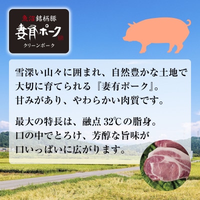 妻有ポーク 2種 ビアソーセージ 100g×2個 チョリソー100g×2個  新潟県 十日町市