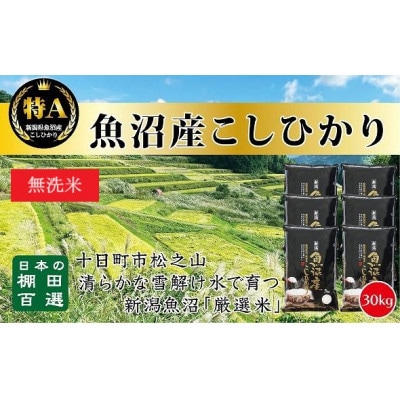 【令和7年産】<無洗米> 日本棚田百選のお米 天空の里・魚沼産こしひかり　5kg×6