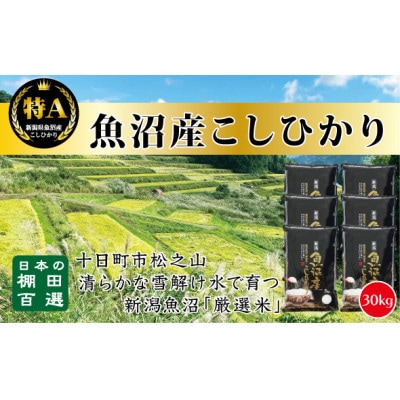 【令和7年産】 日本棚田百選のお米 天空の里・魚沼産こしひかり　5kg×6