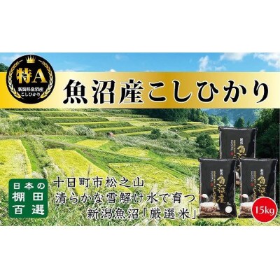 【令和6年10月より発送】令和6年産 15kg 天空の里・魚沼産こしひかり
