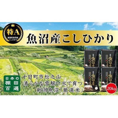 【令和6年10月より発送】令和6年産 20kg 天空の里・魚沼産こしひかり