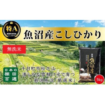 【令和6年10月より発送】令和6年産 5kg 無洗米 天空の里・魚沼産こしひかり