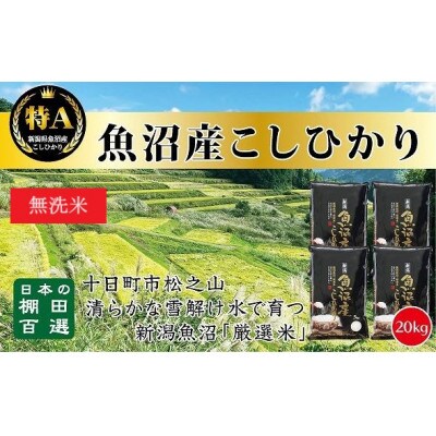 【令和6年10月より発送】令和6年産 20kg 無洗米 天空の里・魚沼産こしひかり