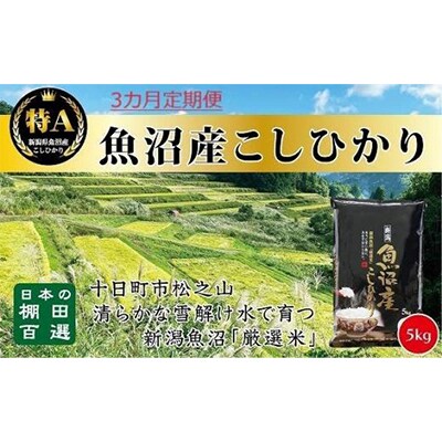 【毎月定期便】日本棚田百選のお米 天空の里・魚沼産こしひかり 5kg全3回