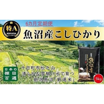 【毎月定期便】日本棚田百選のお米 天空の里・魚沼産こしひかり 5kg全6回