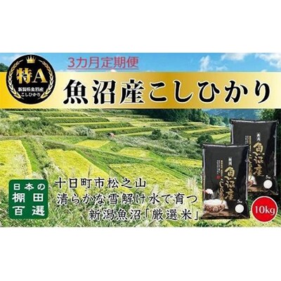 【毎月定期便】日本棚田百選のお米 天空の里・魚沼産こしひかり 10kg全3回