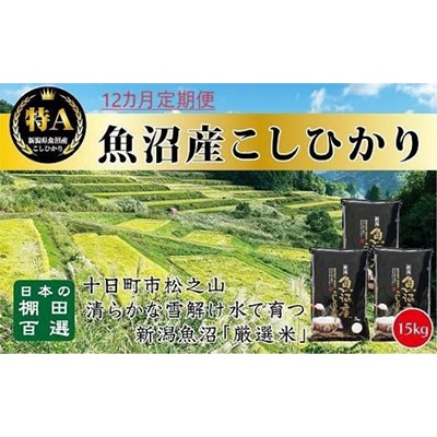 【毎月定期便】日本棚田百選のお米 天空の里・魚沼産こしひかり 15kg全12回