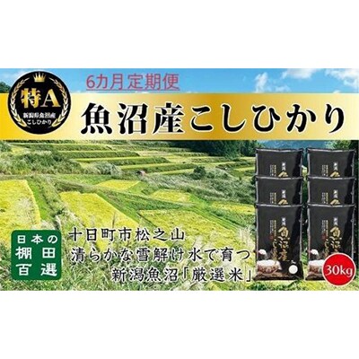 【毎月定期便】日本棚田百選のお米 天空の里・魚沼産こしひかり 30kg全6回