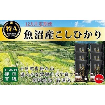 【毎月定期便】日本棚田百選のお米 天空の里・魚沼産こしひかり 30kg全12回