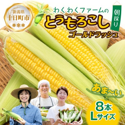 【R7年 先行予約】わくわくファーム とうもろこし「ゴールドラッシュ」8本