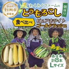 【先行受付】わくわくファームのとうもろこし「イエロー&ホワイト」食べ比べ Lサイズ 各4本