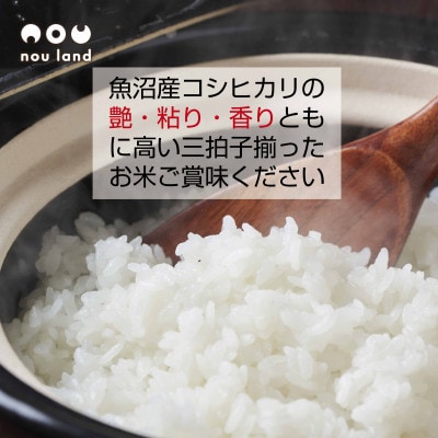 【令和7年産 新米予約】 農家直送 魚沼産 コシヒカリ 6kg 新潟県 十日町市 のうランド