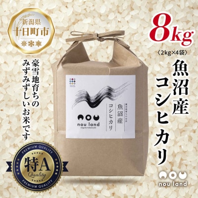 【令和7年産 新米予約】 農家直送 魚沼産 コシヒカリ 8kg 新潟県 十日町市 のうランド