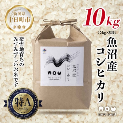 【令和7年産 新米予約】農家直送 魚沼産 コシヒカリ  2kg ×5袋 新潟県 十日町市 のうランド