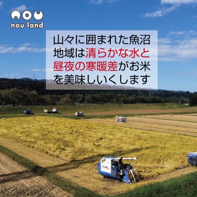 【令和7年産 新米予約】農家直送 魚沼産 コシヒカリ  2kg ×5袋 新潟県 十日町市 のうランド