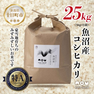 【令和7年産 新米予約】 農家直送 魚沼産 コシヒカリ 5kg ×5袋 新潟県 十日町市 のうランド