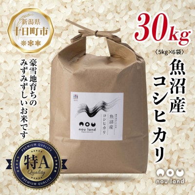 【令和7年産 新米予約】 農家直送 魚沼産 コシヒカリ 5kg ×6袋 新潟県 十日町市 のうランド